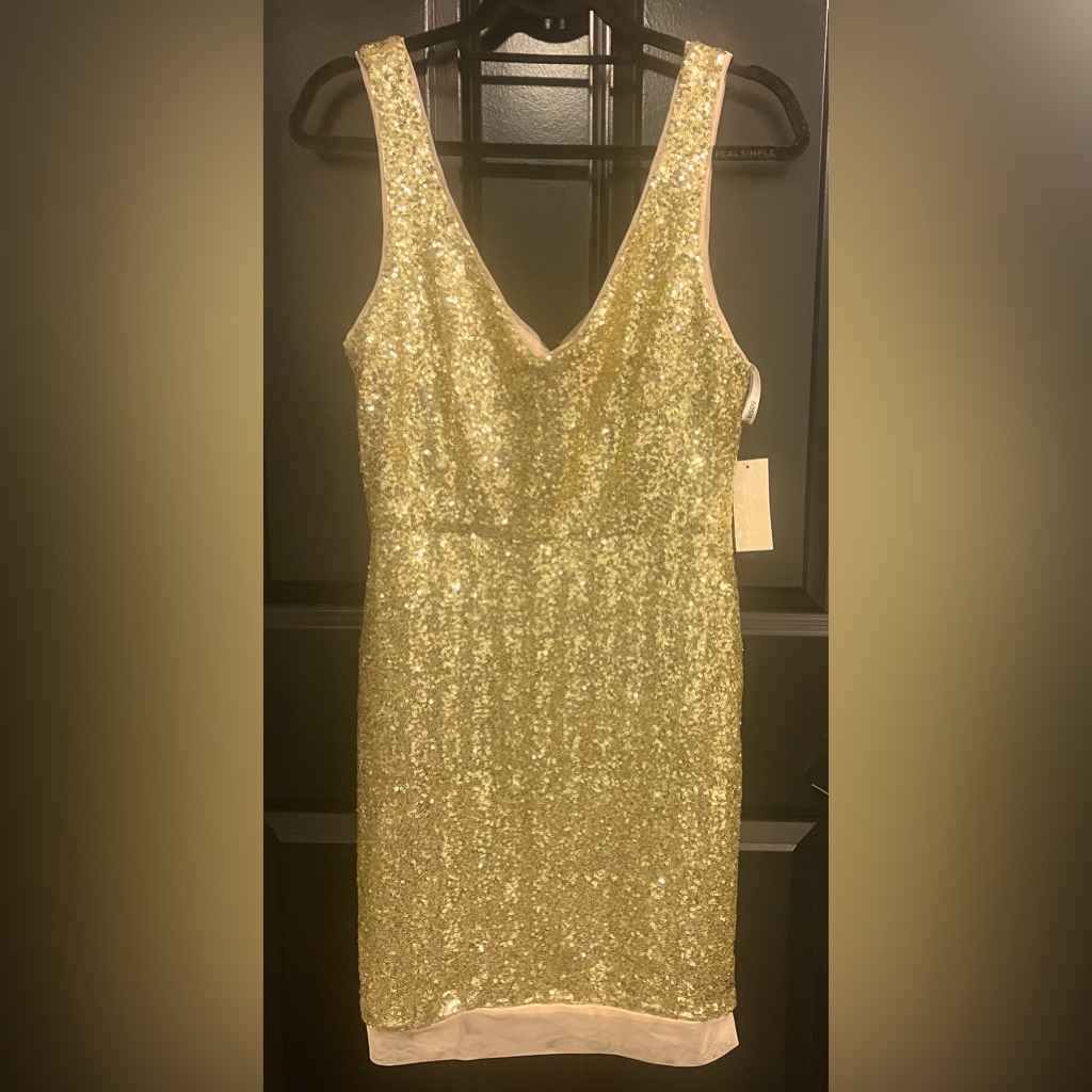 Brand New Bisou Bisou Sequin Dress Size 12